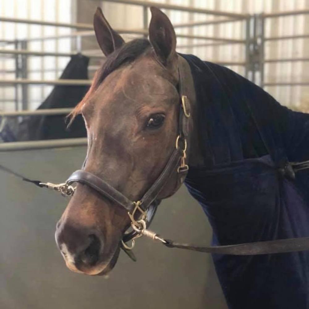 Meet your Posher, Alexah